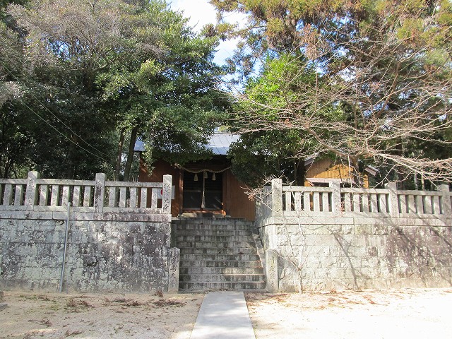 t03_037.jpg