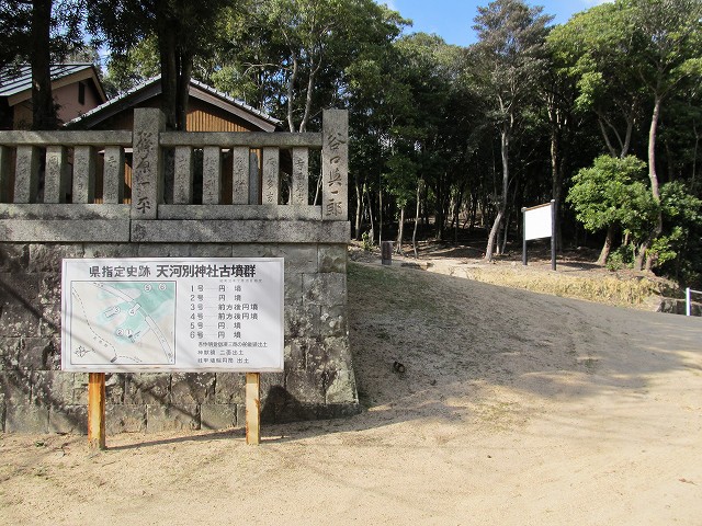 t03_038.jpg