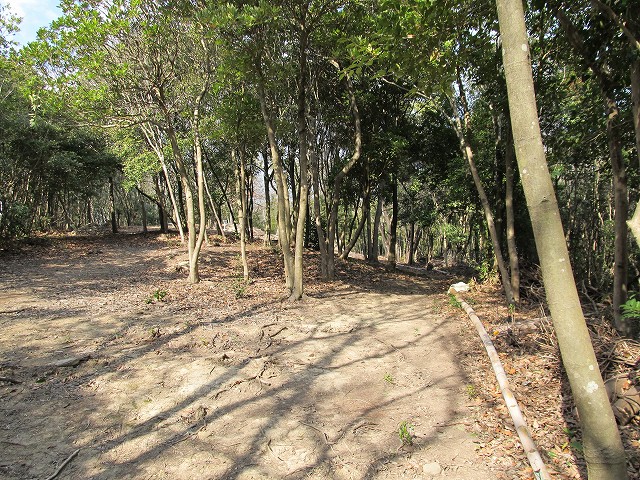 t03_040.jpg