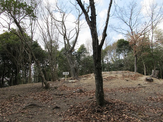t03_041.jpg