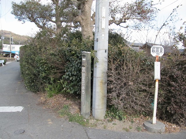 t03_046.jpg
