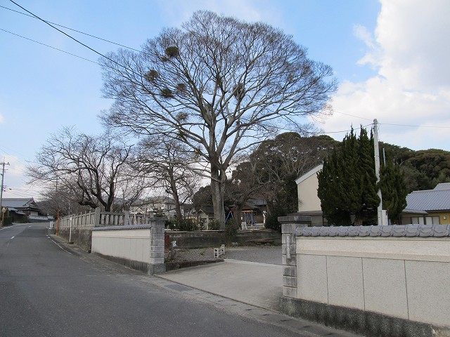t03_049.jpg