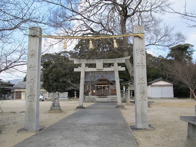 t03_050.jpg