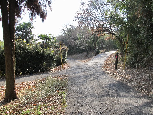 t03_052.jpg