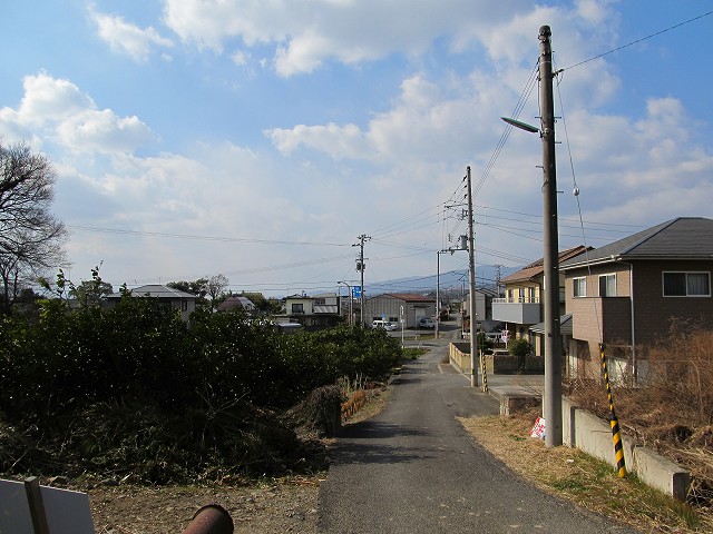 t03_054.jpg