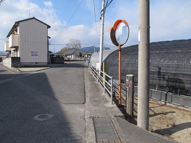 t03_055.jpg