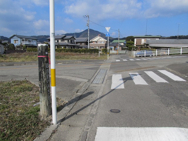 t03_059.jpg