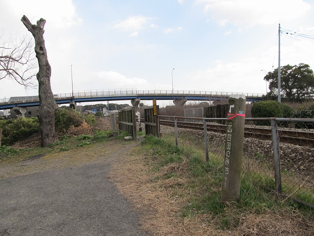 t03_064.jpg