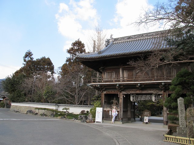 t03_071.jpg