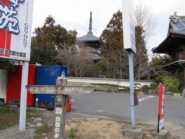 t03_072.jpg