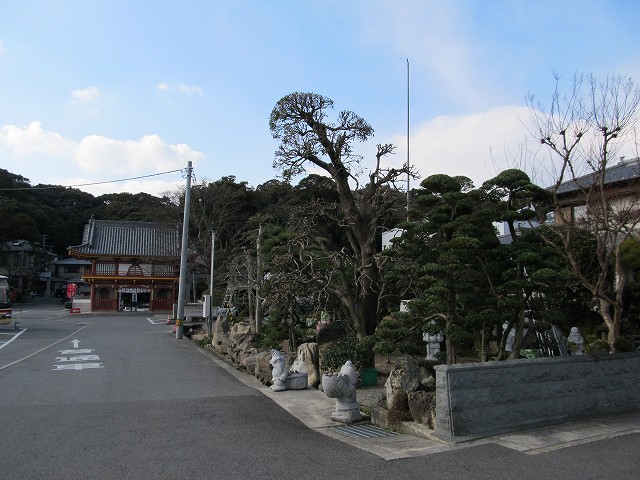 t03_079.jpg