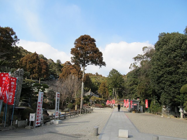 t03_081.jpg