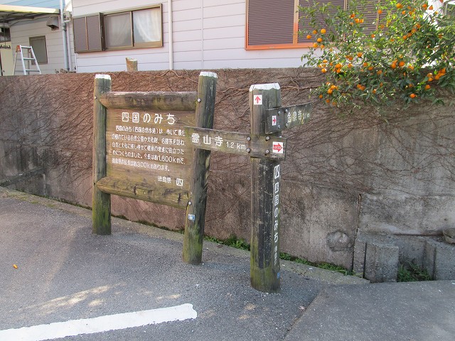 t03_084.jpg