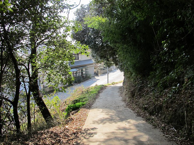 t03_087.jpg