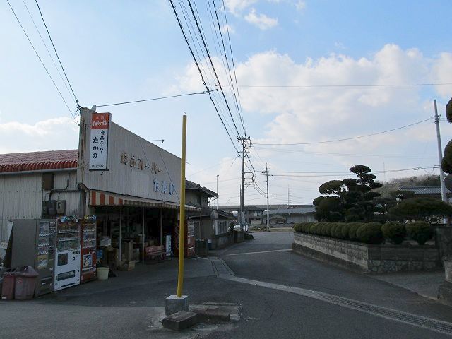 t03_097.jpg