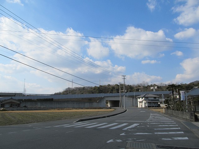 t03_098.jpg
