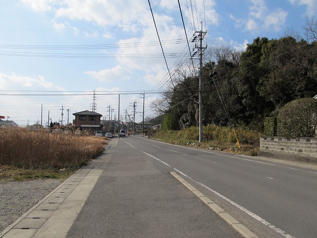 t03_099.jpg