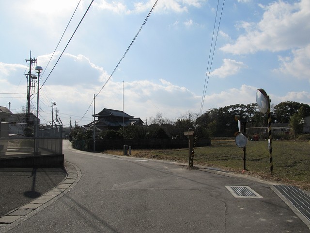 t03_100.jpg