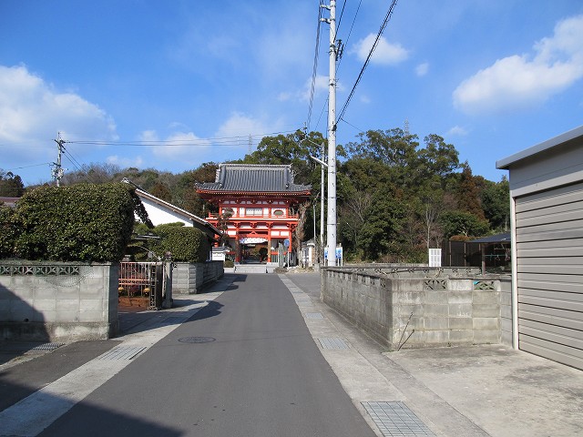 t03_102.jpg