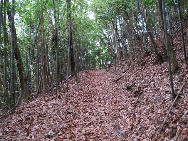 t04_002.jpg