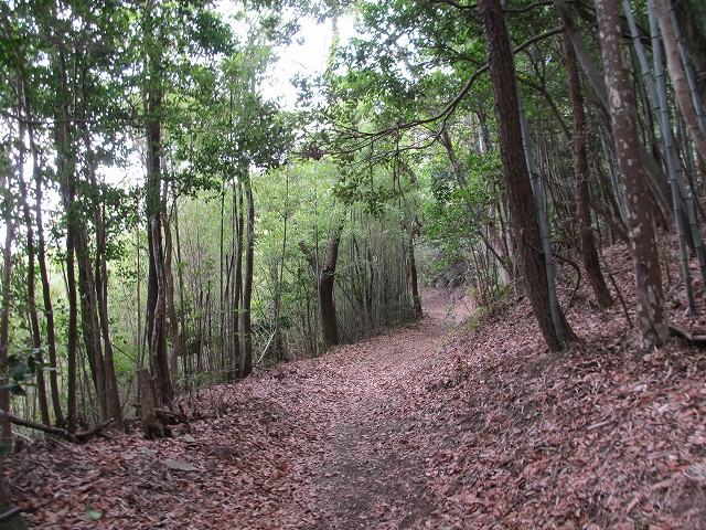 t04_003.jpg