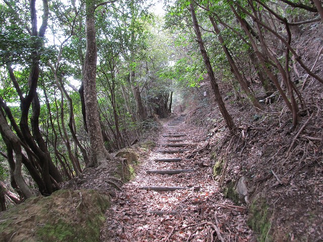 t04_005.jpg
