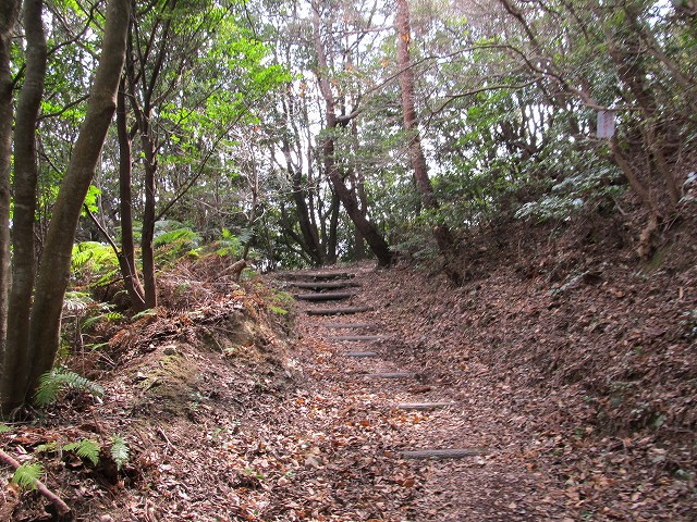 t04_006.jpg