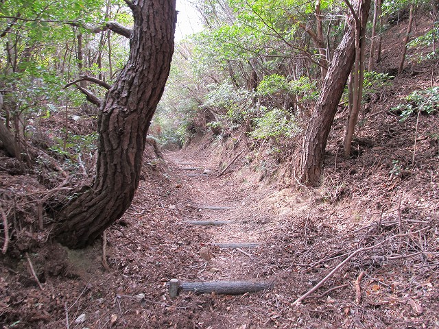 t04_007.jpg