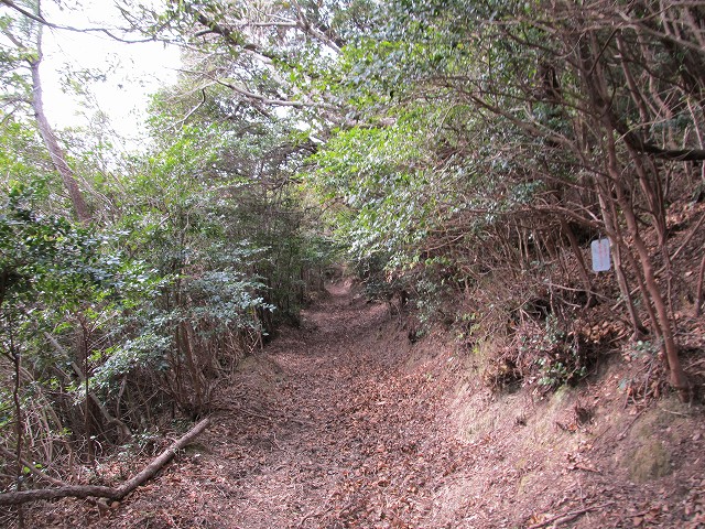 t04_008.jpg