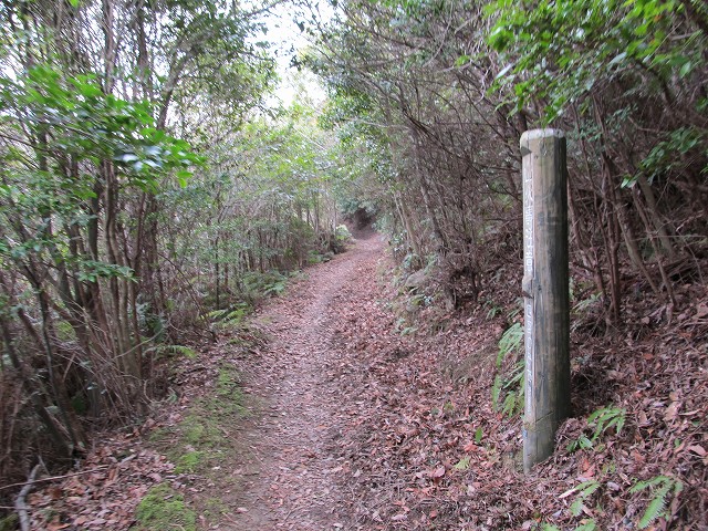 t04_009.jpg