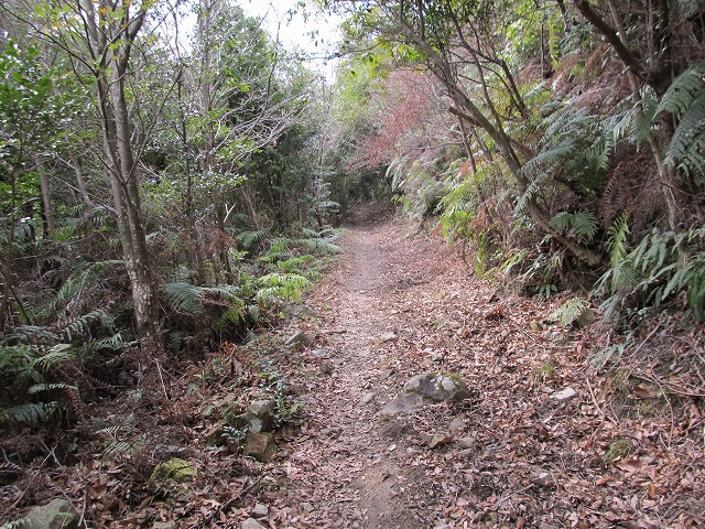 t04_010.jpg