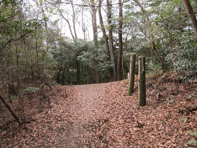 t04_011.jpg