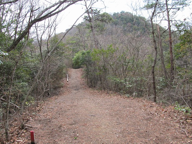 t04_012.jpg