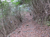 t04_015_thumb.png