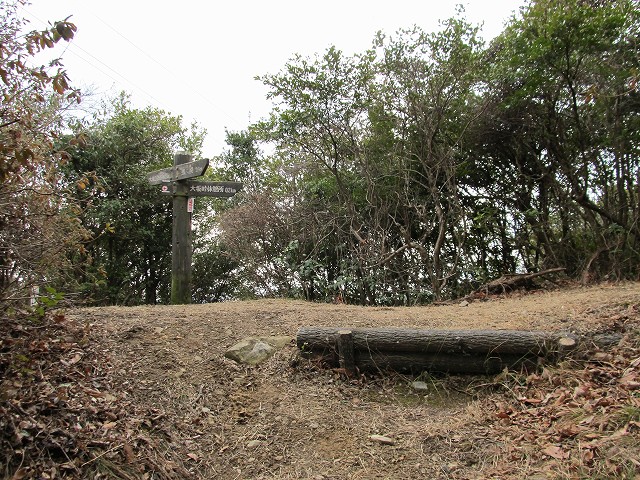 t04_017.jpg