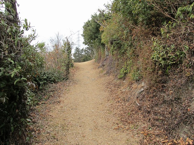 t04_019.jpg