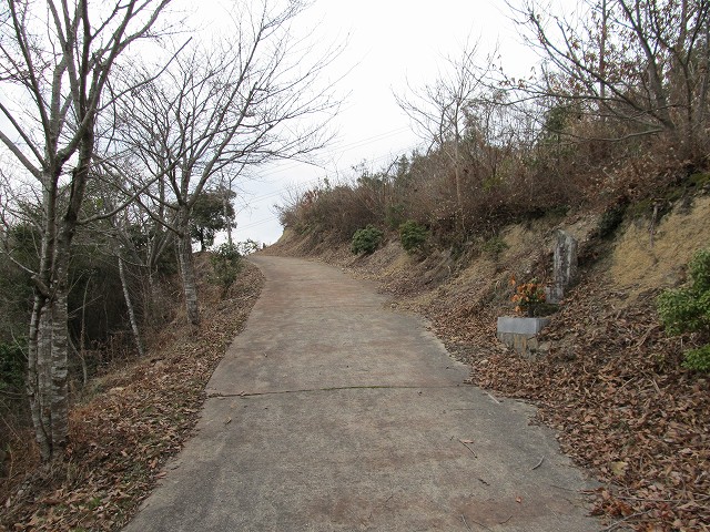 t04_020.jpg