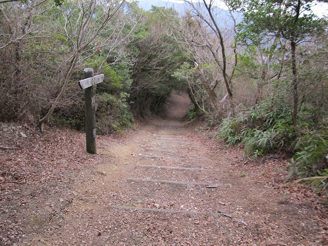 t04_024.jpg