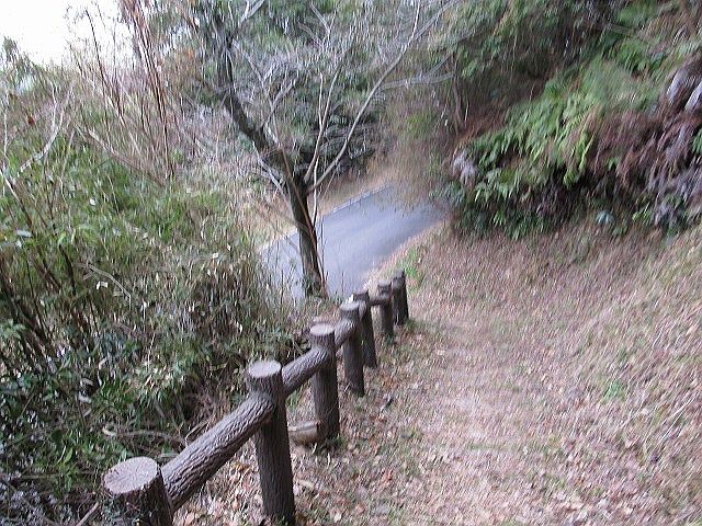 t04_025.jpg