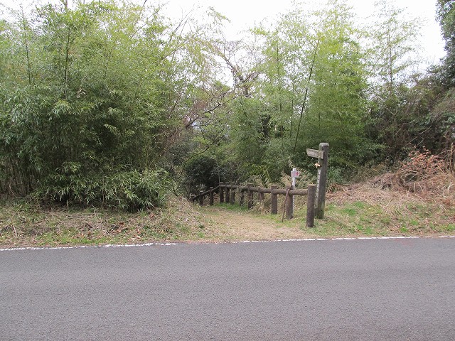 t04_026.jpg