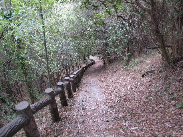 t04_028.jpg