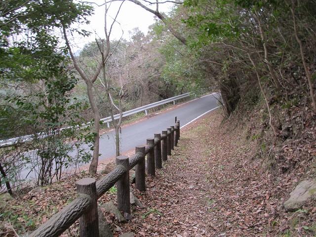 t04_029.jpg
