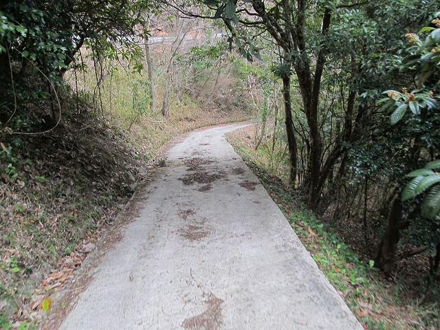 t04_030.jpg