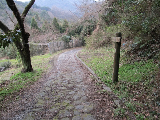 t04_031.jpg