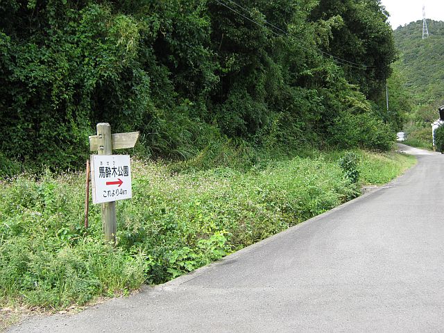 t04_033.jpg
