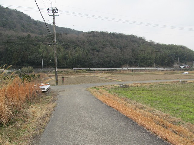t04_034.jpg