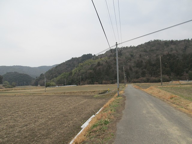 t04_035.jpg