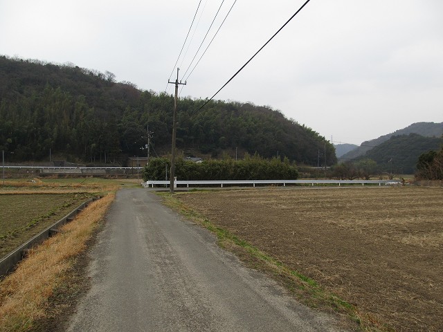 t04_036.jpg