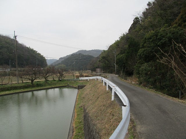 t04_037.jpg