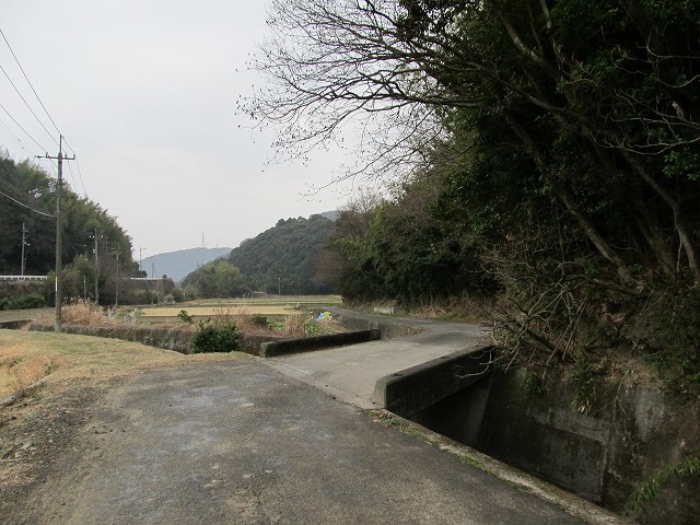 t04_038.jpg